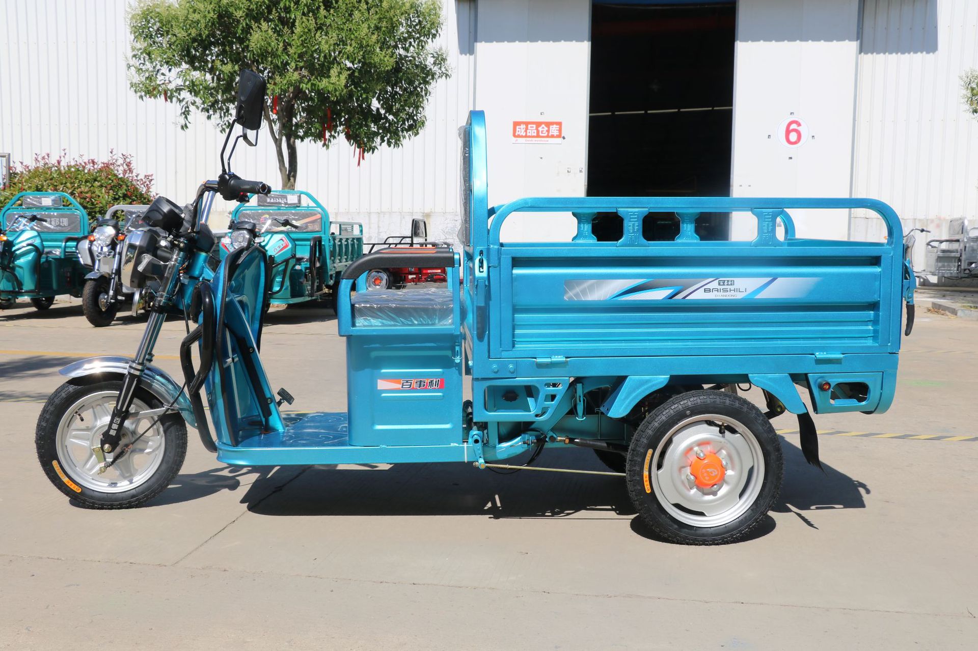 中国制造廉价电池供电成人 3 三轮 60v800w 电动货物三轮车