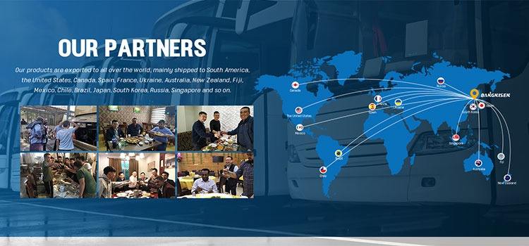 Company Overview - Shenzhen Bangnisen Auto Technology Co., Ltd.