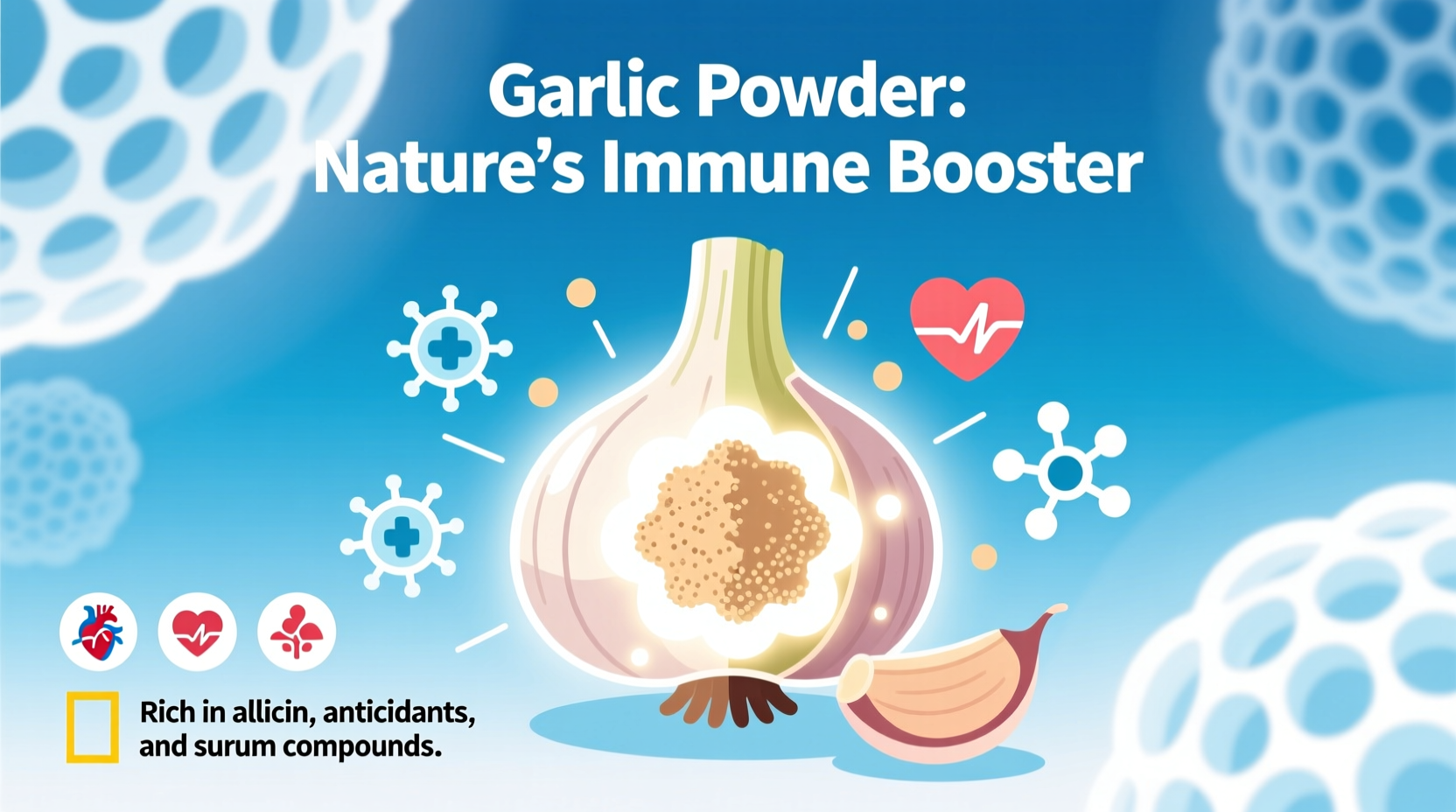 Knoblauchpulver: Gesundheitliche Vorteile & Grenzen