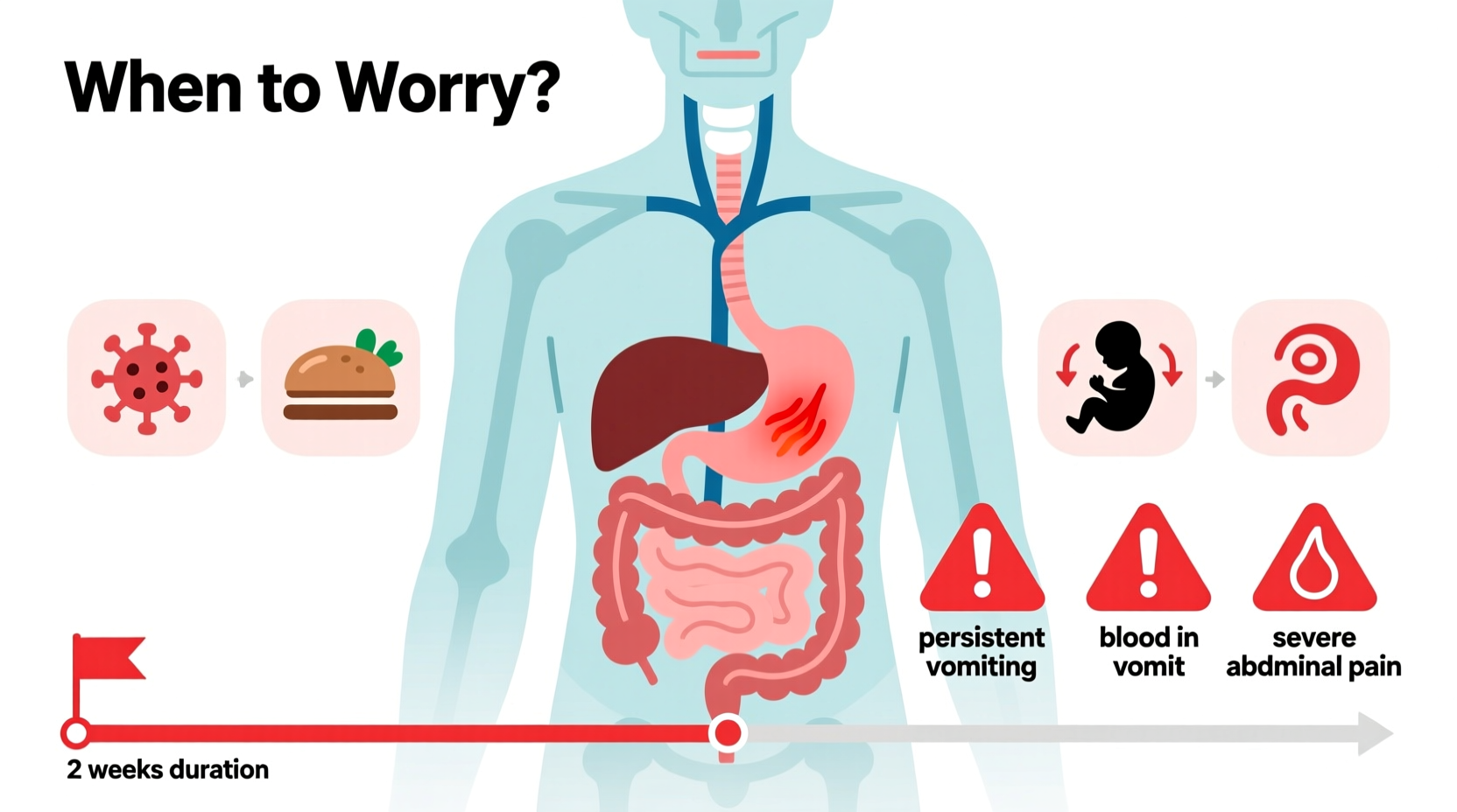 nauseous for 2 weeks common causes and when to worry