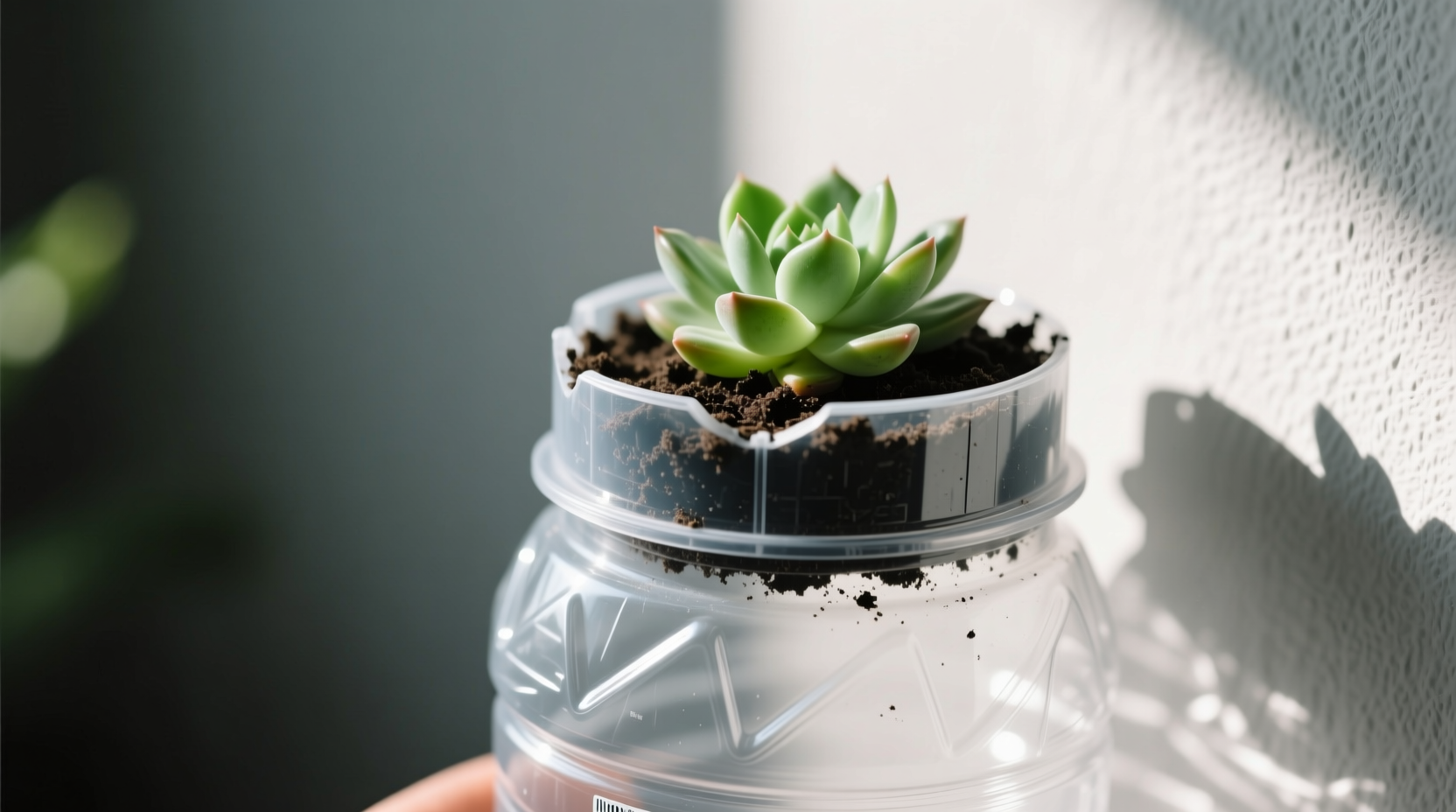 Practical Bottle Crafts: DIY Projects to Repurpose Plastic