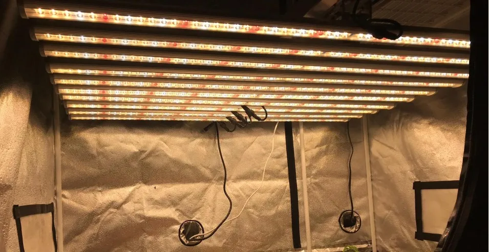 1000W LED Grow Light 