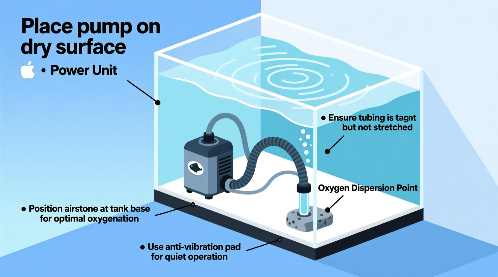 essential guide to installing an air pump for your fish tank tips for optimal oxygenation and quiet operation