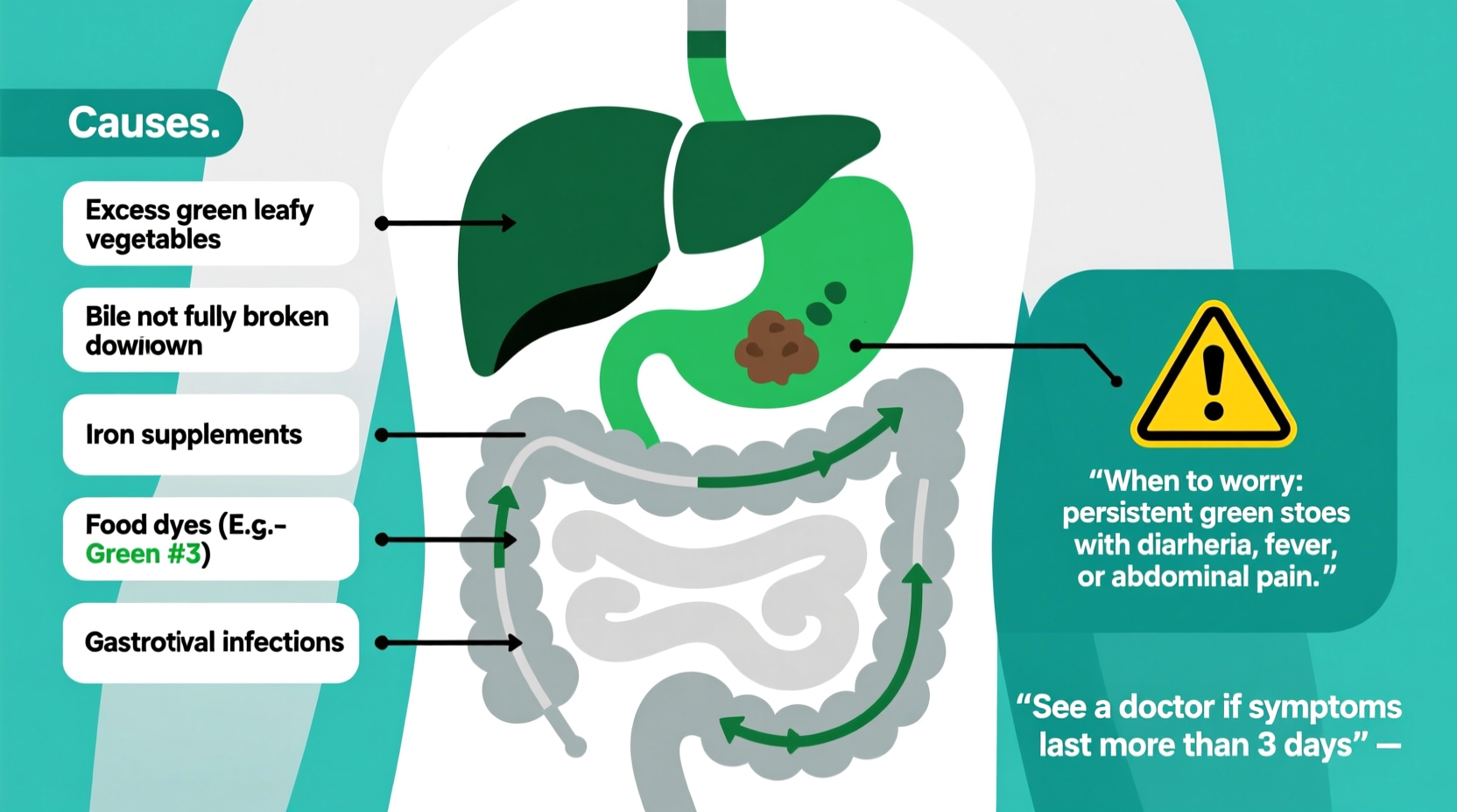 why is my poop green common causes when to worry