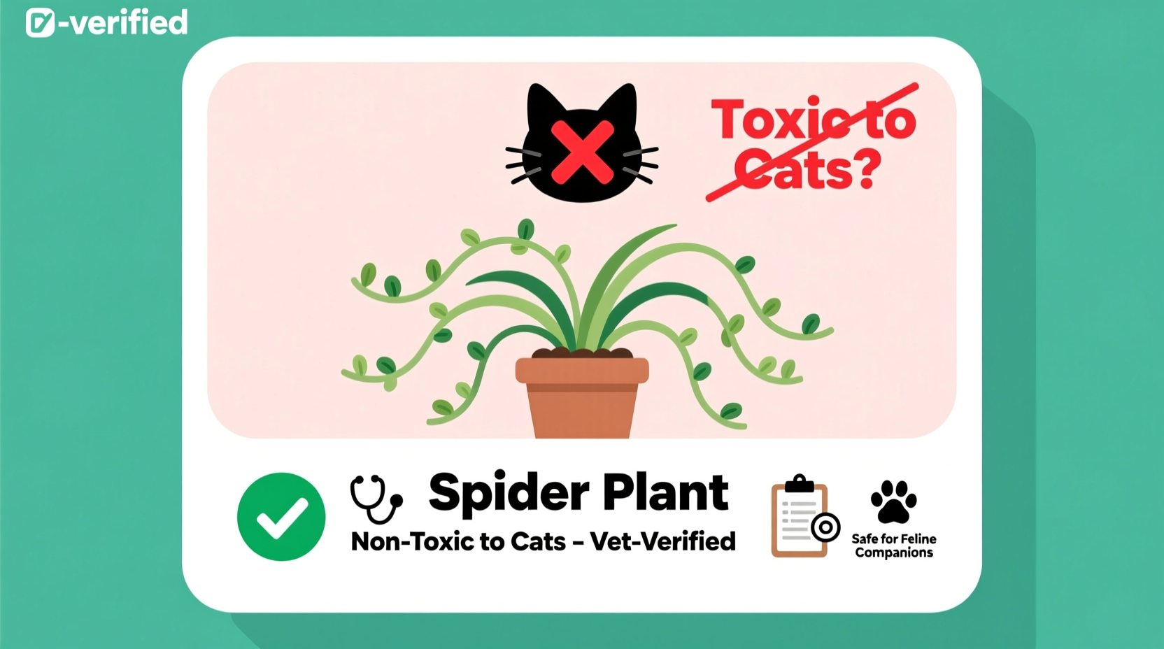 are spider plants toxic to cats