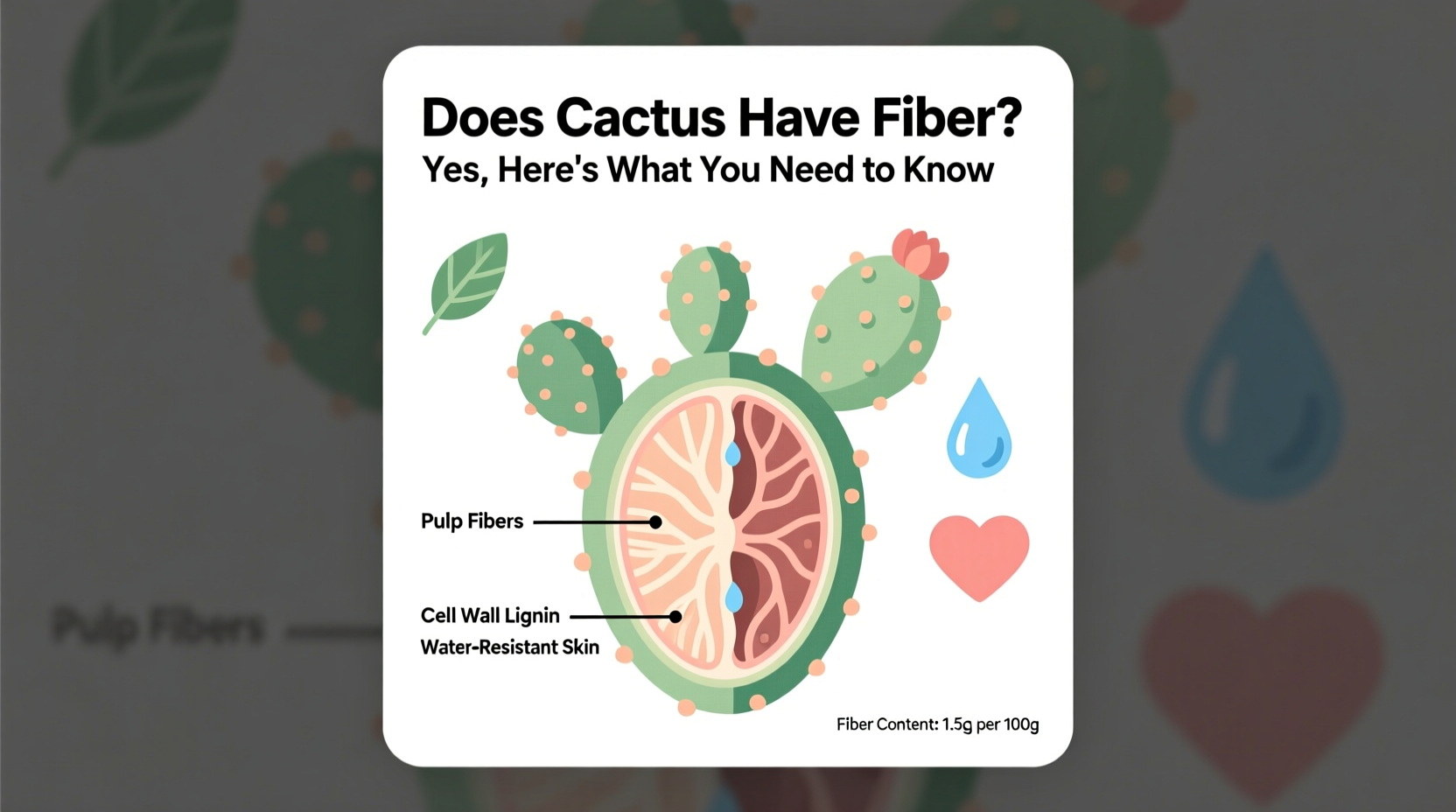 does cactus have fiber