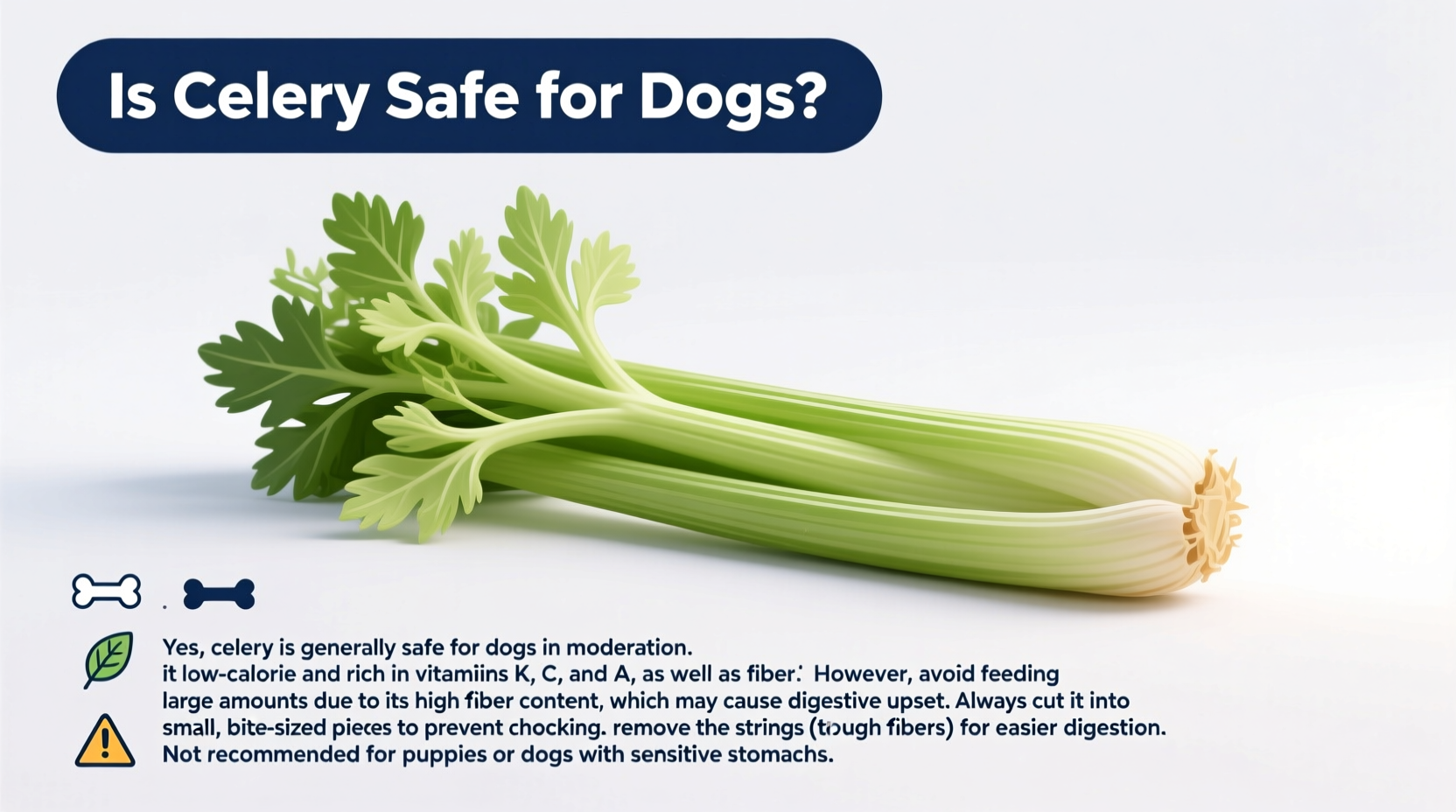is celery safe for dogs
