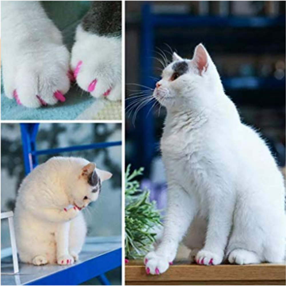 柔软的指甲帽爪覆盖猫和狗的爪子美容爪护理