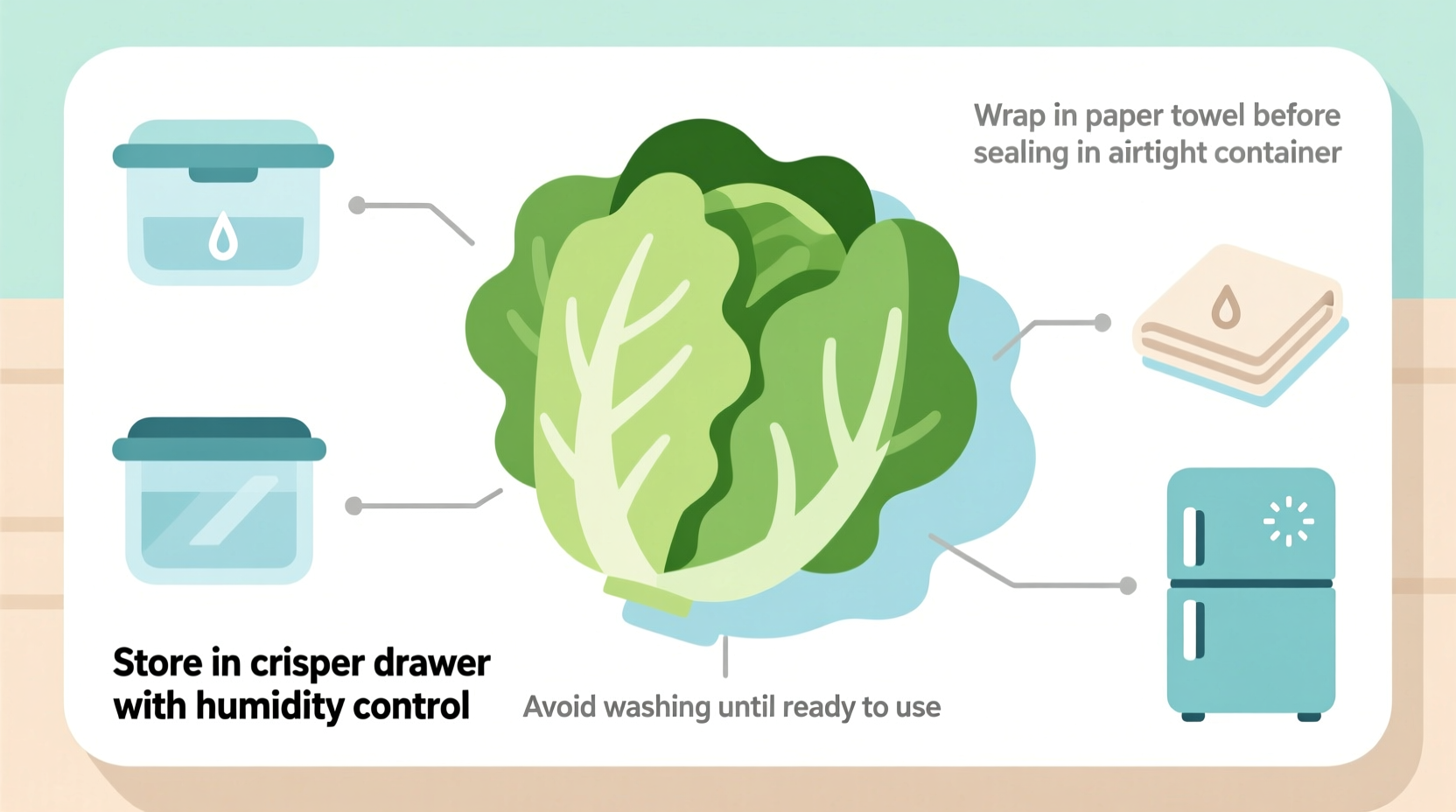 effective methods for the best way to keep lettuce fresh in the refrigerator