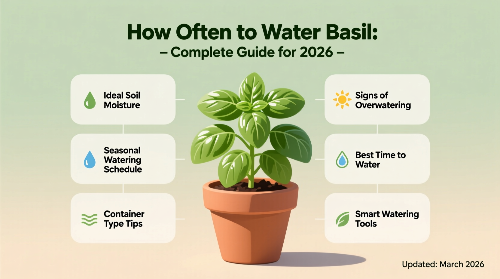 how often does basil need to be watered