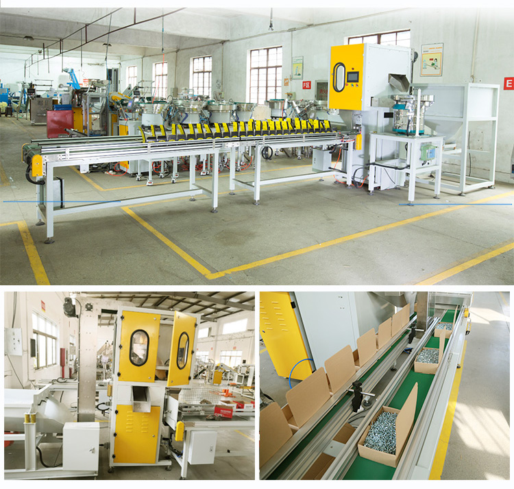 Automatic Screw Fastener Box Packing Machine - Box Packing Machine - 4