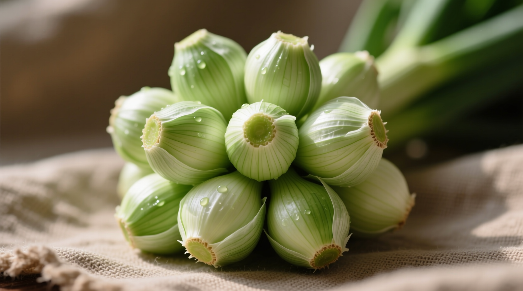 green garlic cloves