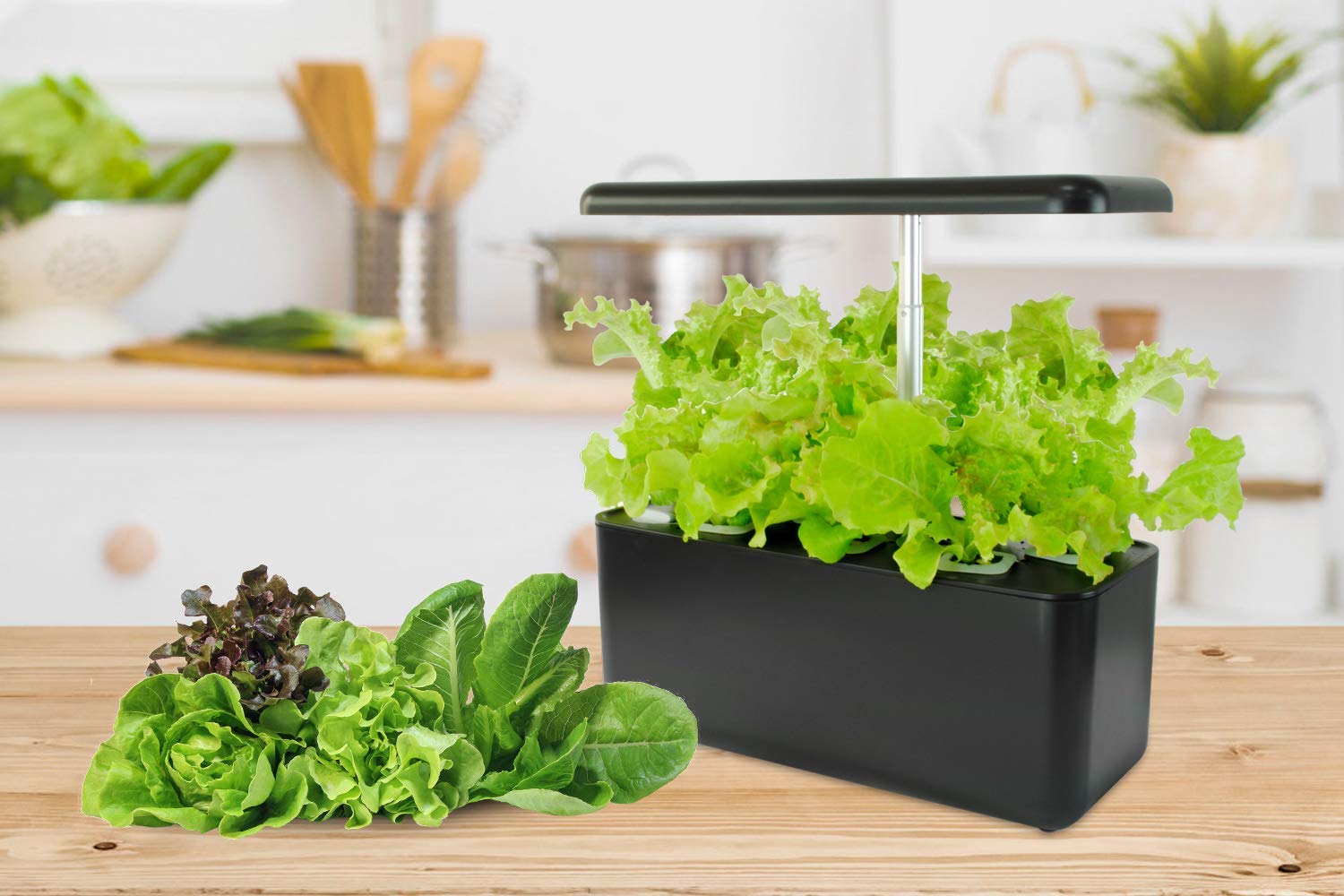 igs-10水培生长系统室内水培系统为智慧花园种植轻型室内植物 - buy