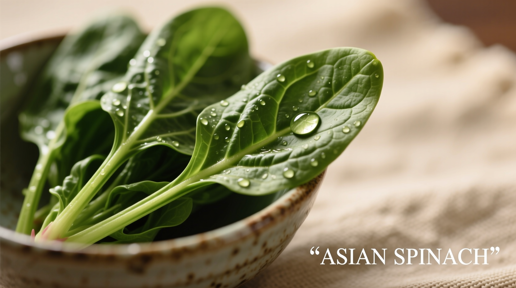 Asian Spinach Varieties: Complete Guide to Types & Uses