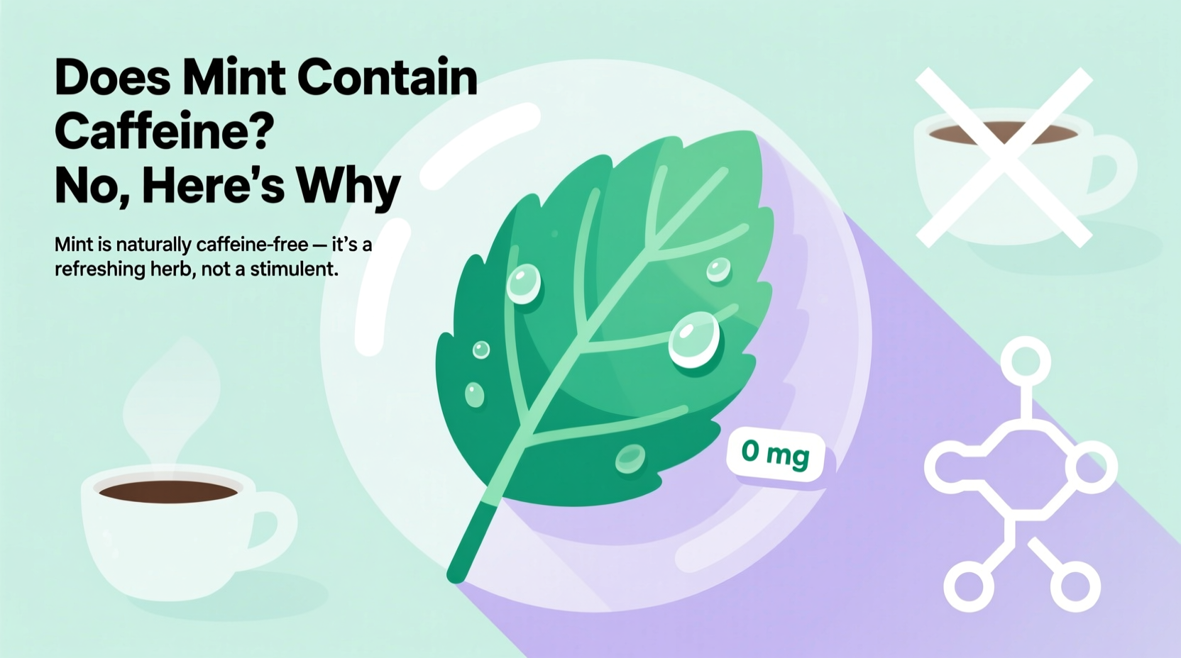 does mint contain caffeine