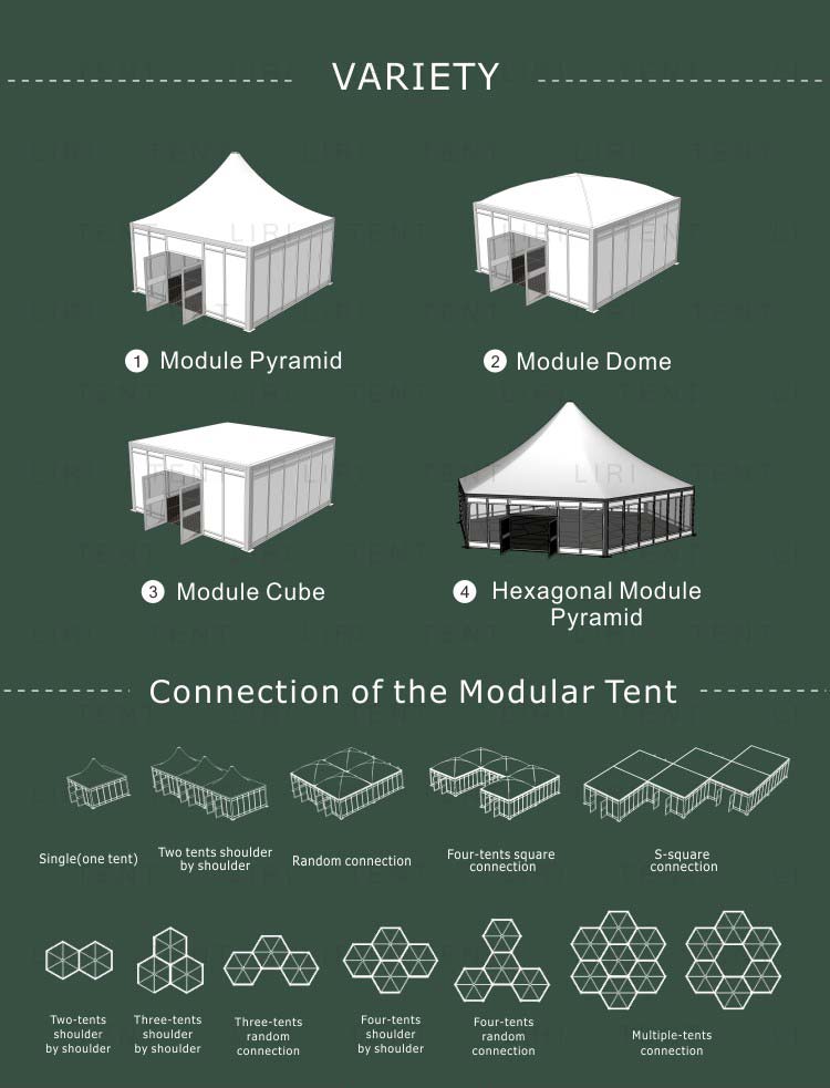Hot Sale Movable Modular Commercial Dome Party Shop Tent from Liri Tent