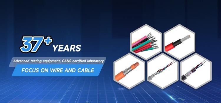 Company Overview - Xinya Electronic Co., Ltd.