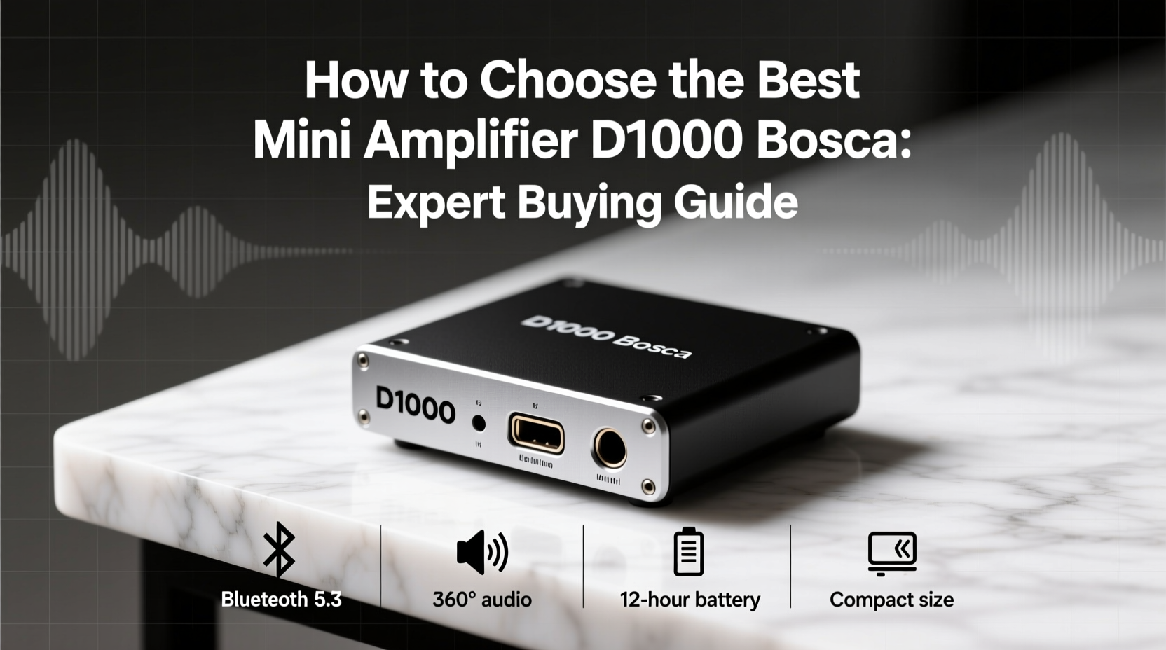 mini amplifier d1000 bosca