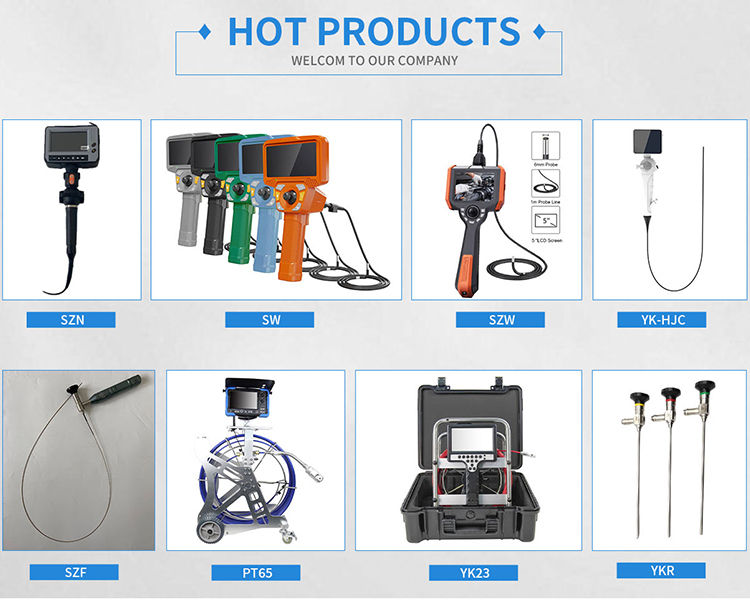 Endoscope Probe