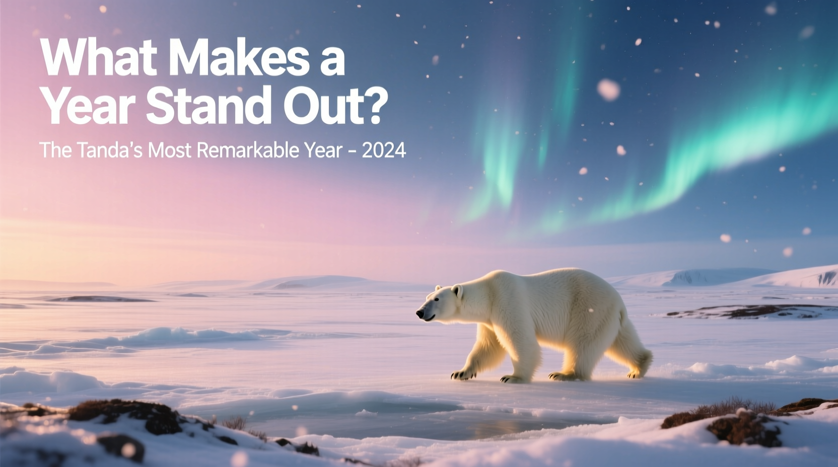 discover what makes a year a standout choice for the best year tundra