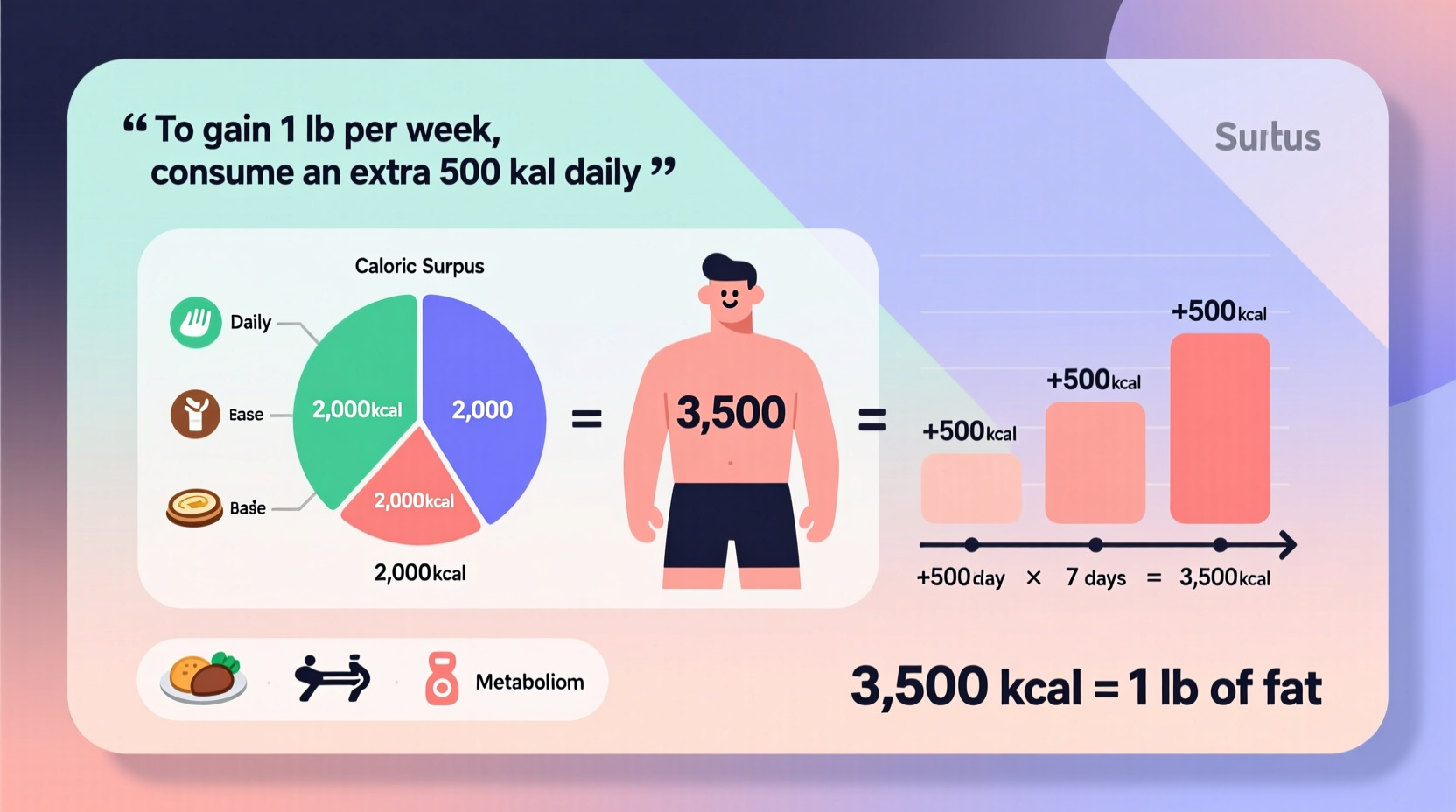 how to calculate the calories needed to gain one pound a practical guide