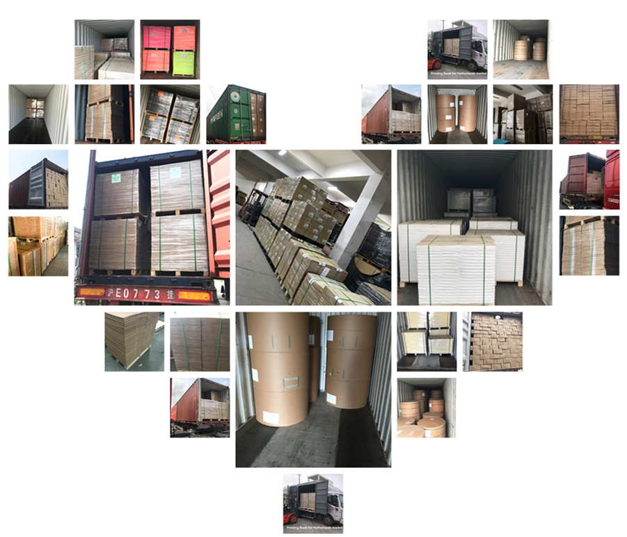 180g 230gsm A4 size textured paper cover paper embossed color board leather grain binding