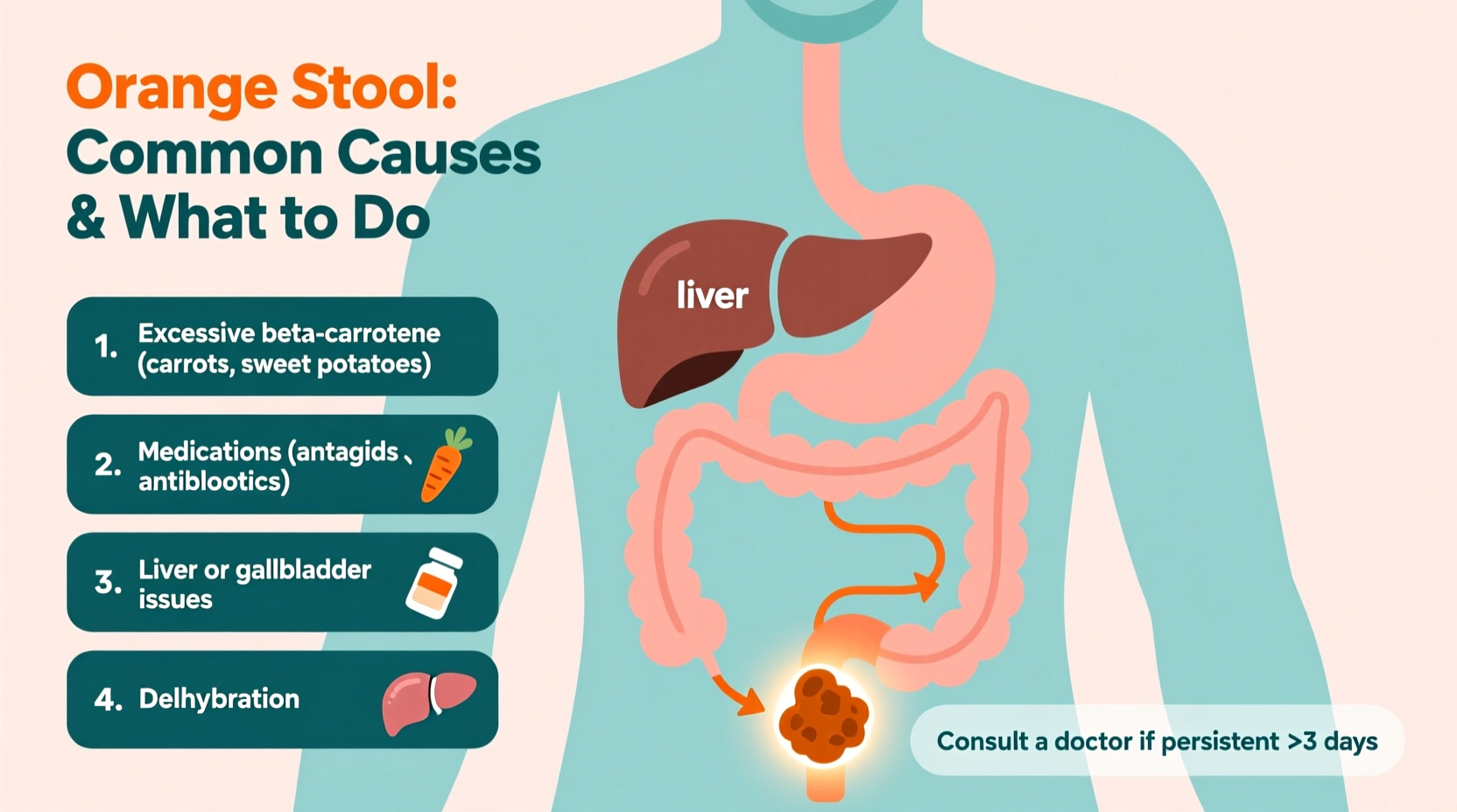 why is my poop orange common causes and what to do