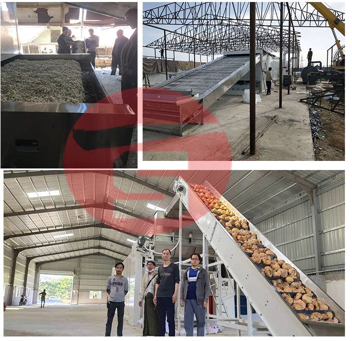 Shouchuang Chili Stem-Cutting Machine Spice S17 Stem-removing Machine Asia Chili Stem-cutting Machine