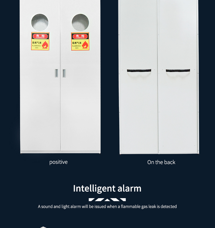 Hot sale All steel Gas Cylinder Cabinet  for Laboratory Lab Furniture/