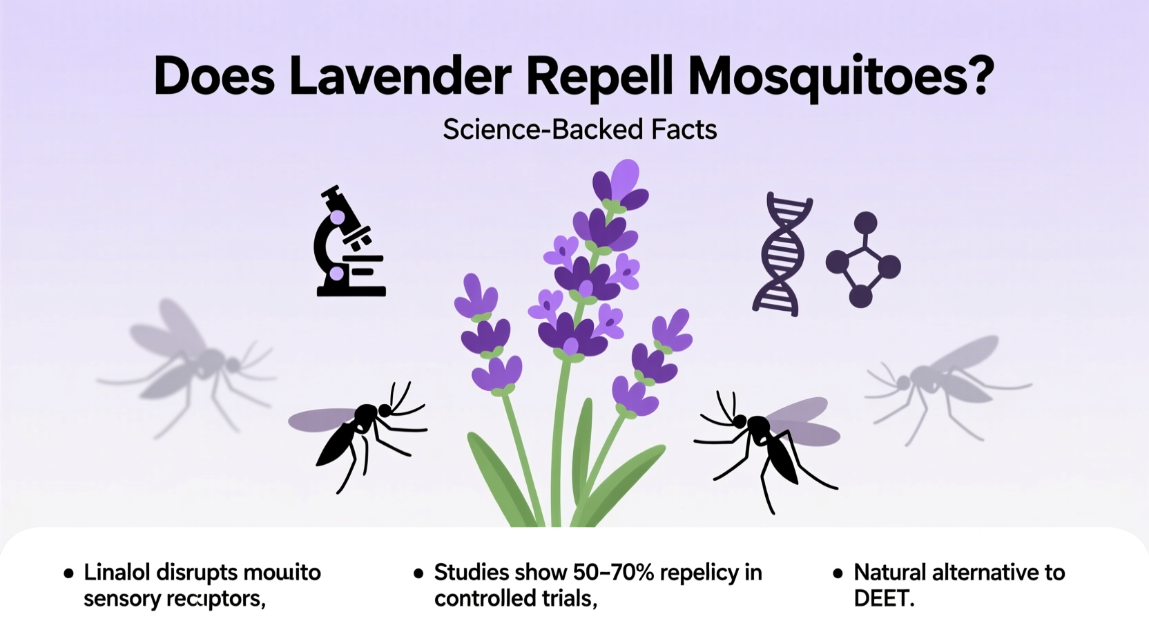 do lavender repel mosquitoes