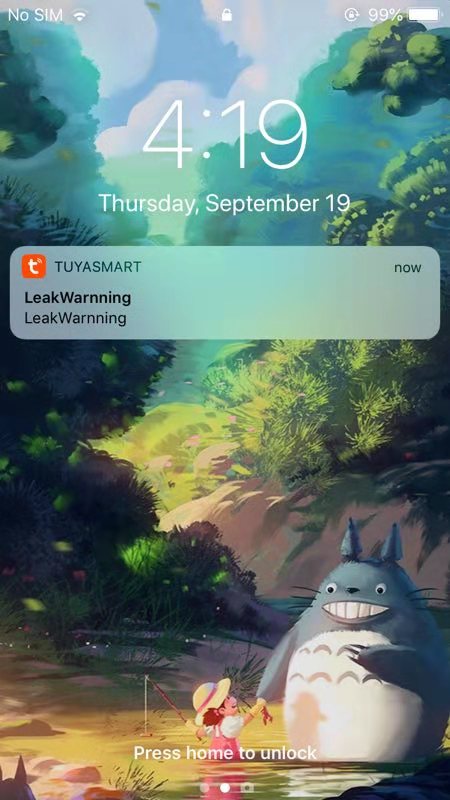 Dusun Open API interface Smart Home Mini Wireless Zigbee3.0 greenpower Water Leakage Detector Sensor