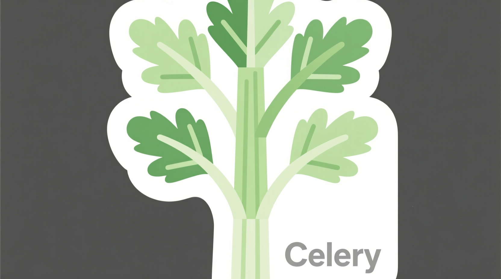 Celery Clipart: Free & Premium Options for Your Projects
