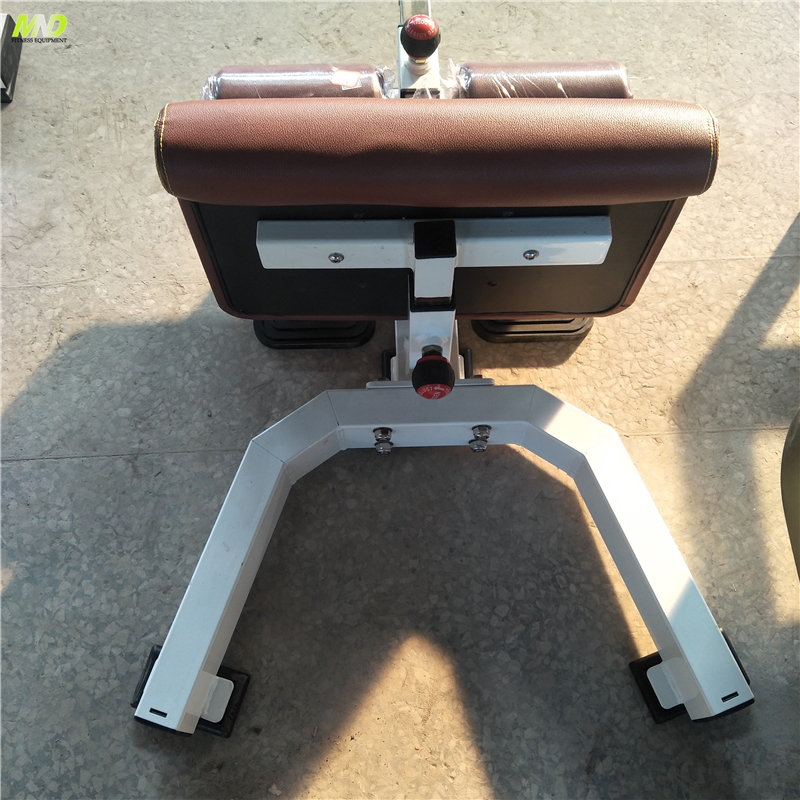 China Supplier Home Sissy Squat Machine Gym Equipment