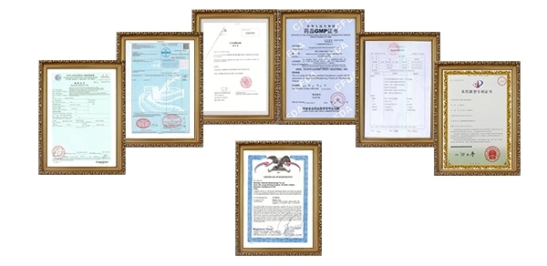 Lifeworth bulk biotin 10000 mcg tablets for hair