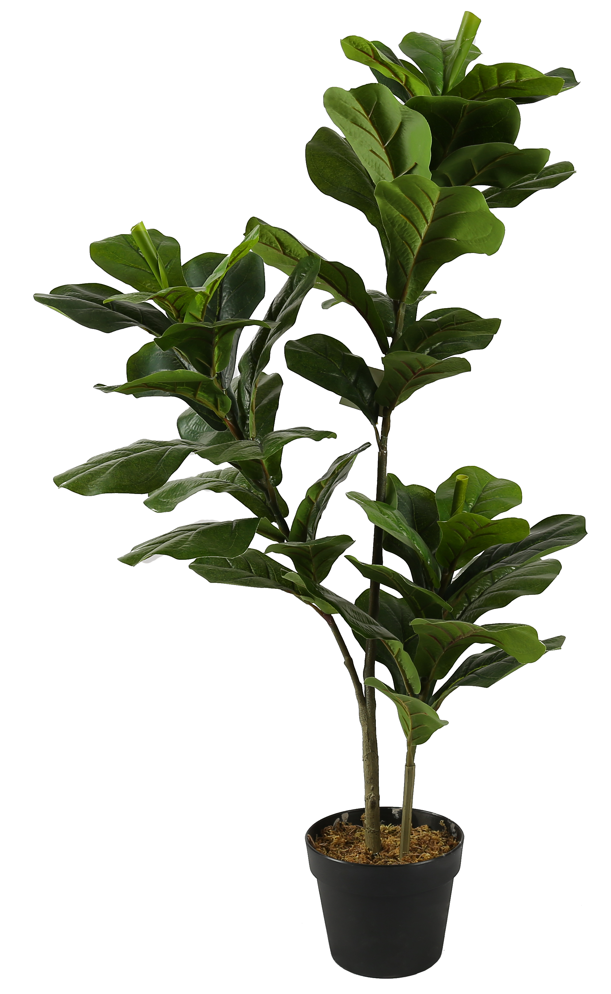 buy decoration olive tree,artificial plants,olive product on