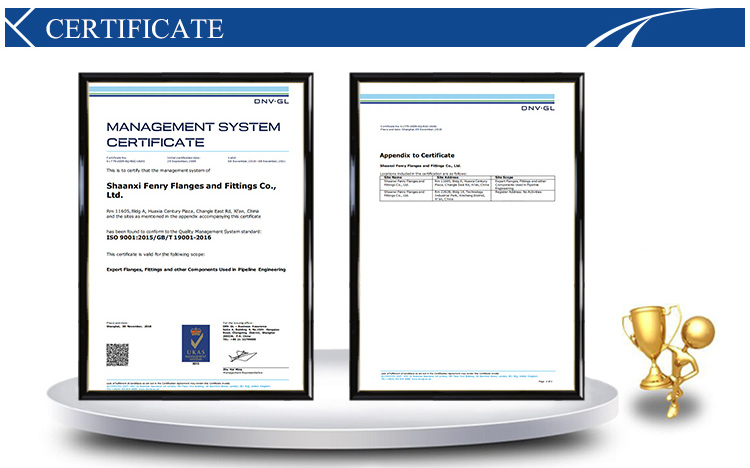 Slittamento dell'acciaio legato di bassa temperatura di Sfenry ASME B16.5 A350 LF2 LF6 COSÌ FF sulle flange