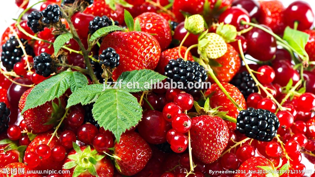 stainless steel passion fruit pulp machine equipment/fruit juice