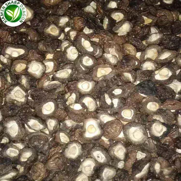 Wholesale cheap healthy dried shiitake mushroom