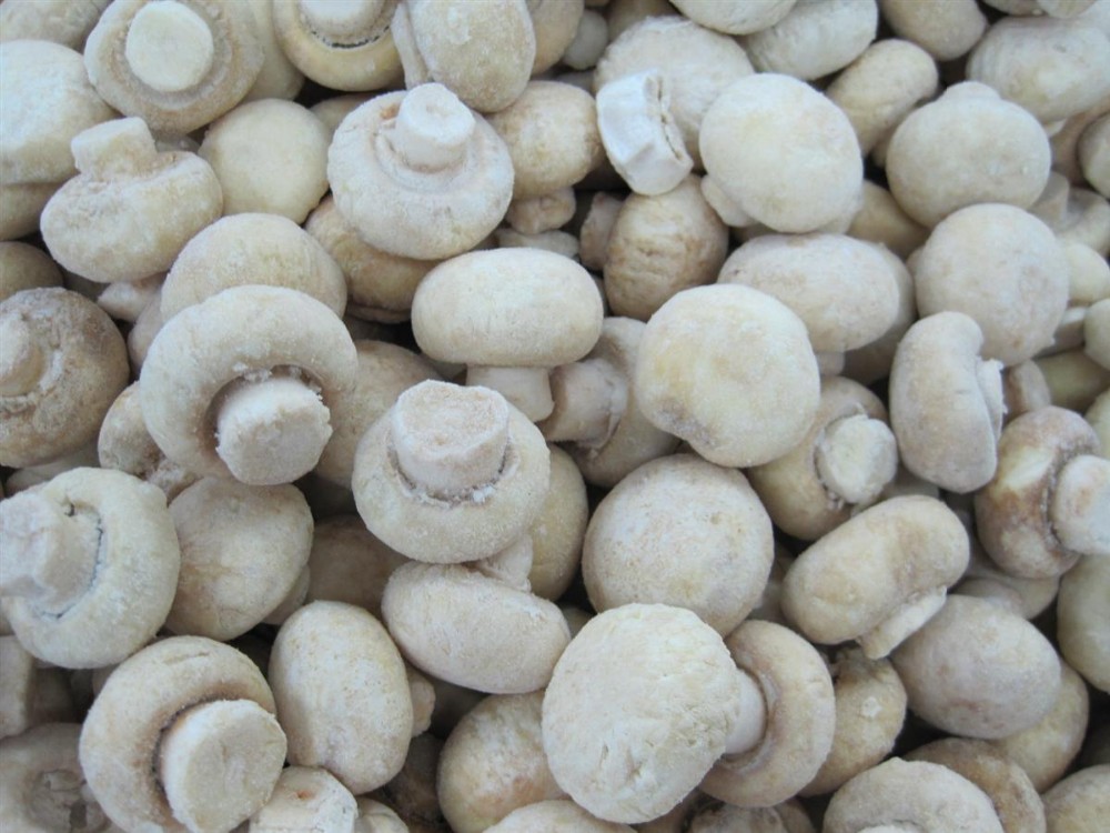 批发优质美味冷冻 champignon 蘑菇