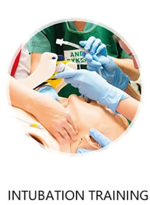 MÔ HÌNH ĐÀO TẠO ÉP TIM HỖN HỢP CPR EM-003