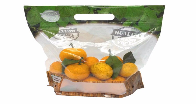 Custom Printed Zip lockk Clear Stand Up Fruit Pouch Packaging Bags