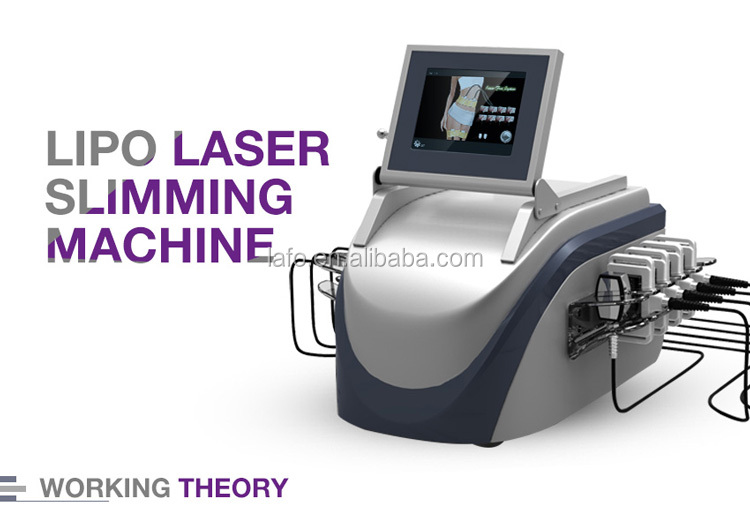 Welight loss 10 pads 650nm Professional Lipo Laser / Lipolaser Slimming Machines for sale LF-313