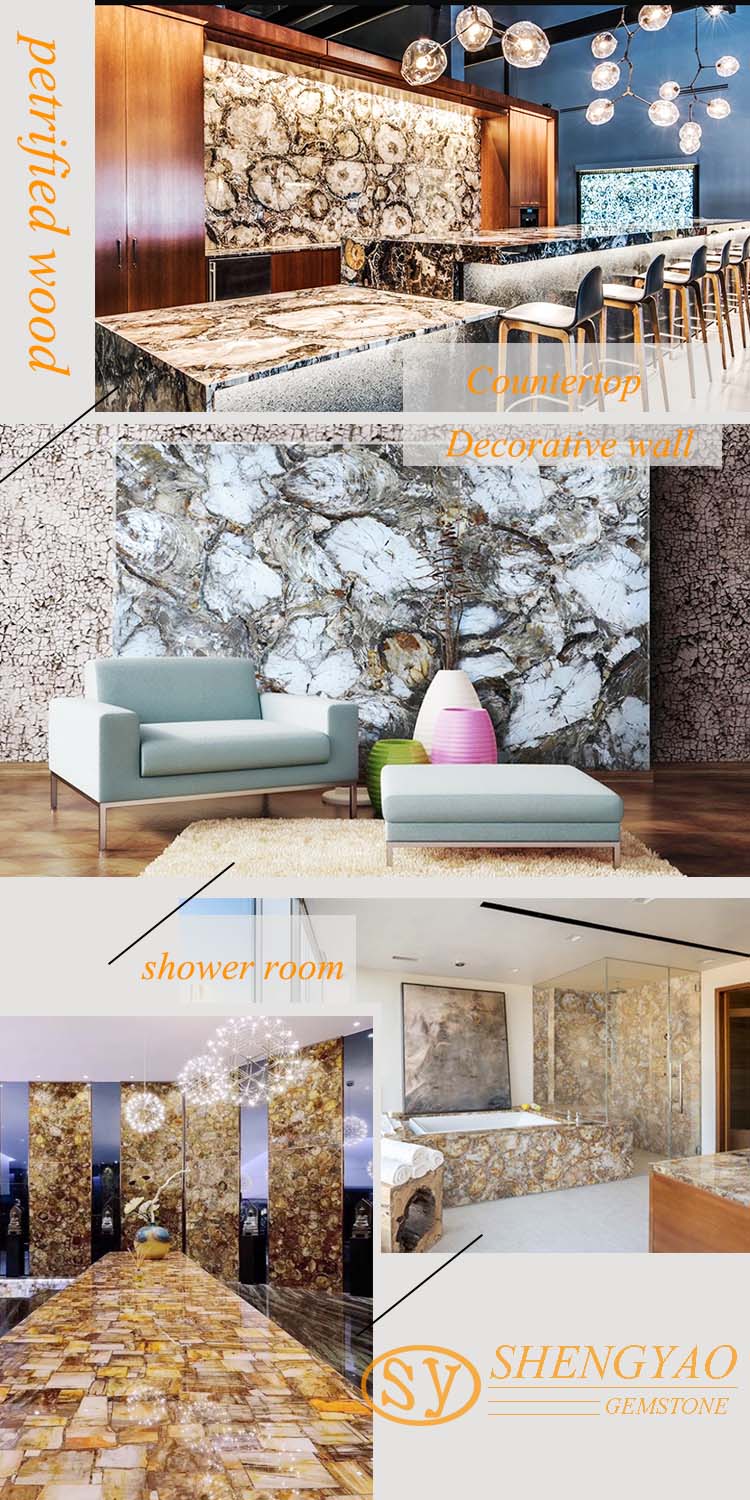 Polished Petrified wood marble slab  for decoration