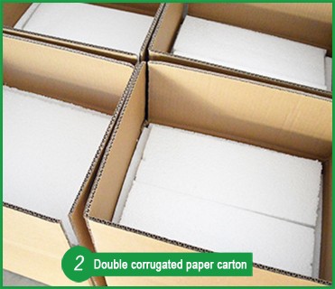 30Pcs Plant Animal Histology Prepared Microscope Slides