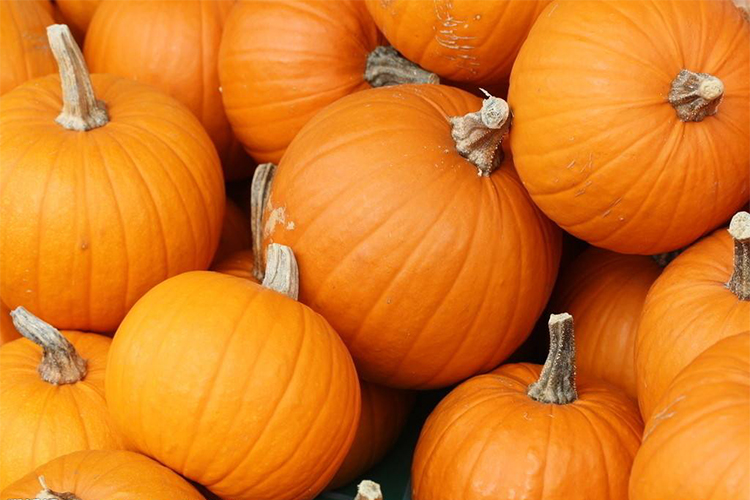 钢制瓜南瓜籽分离机 - buy pumpkin seeds separating machine,melon