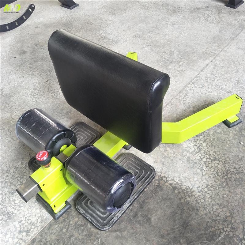 China Supplier Home Sissy Squat Machine Gym Equipment