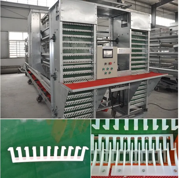 High standard chicken cage for poultry farm/chicken layer cage with automatic egg collection machine