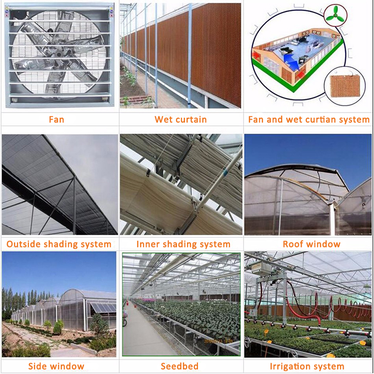 Greenhouse Rack and Pinion Curved Inside Continuous Ventilation Rack