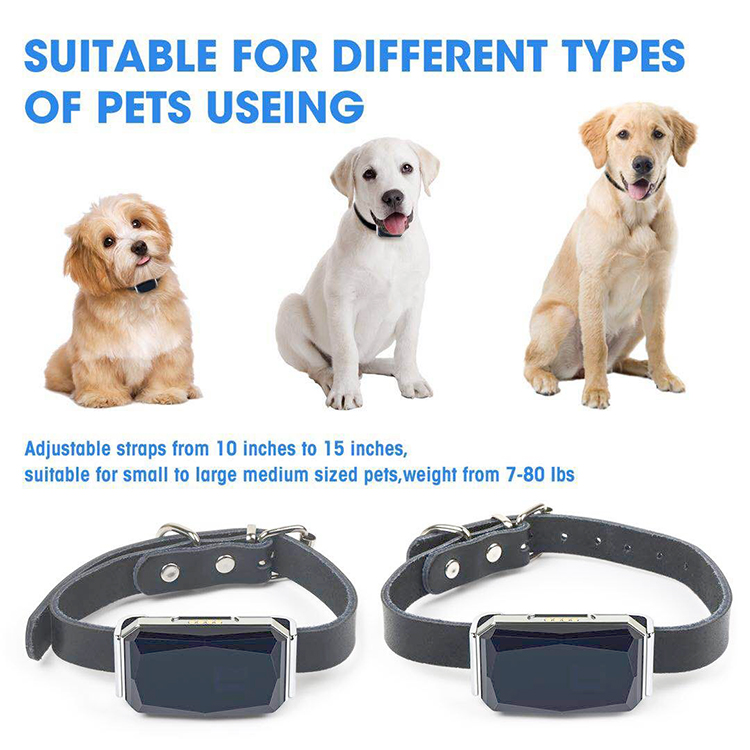 Factory OEM waterproof pet GPS tracker G12P with free leather collar support A, , PP+Web+SMS tracking system for dog/cat