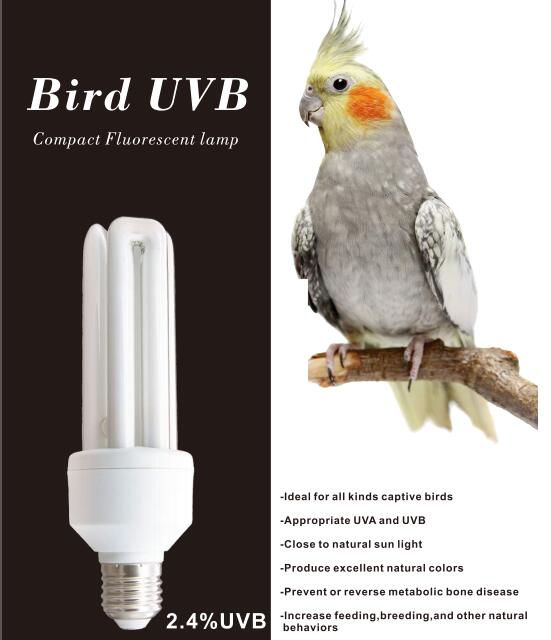 Luckyherp20wバードUVランプ鳥のフルスペクトル電球UVB2.4オウム